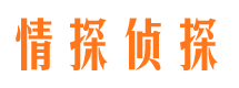 黑山市调查公司